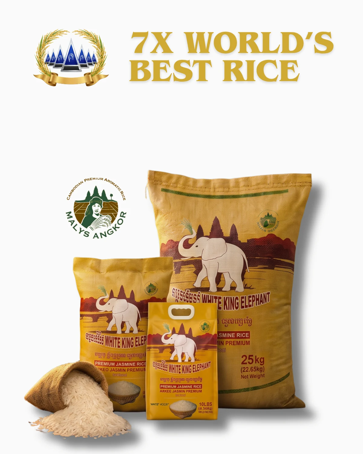 White King Elephant Malys Angkor premium jasmine rice in a 25kg sack, a medium bag and a 10lb retail pouch, with loose grains spilled from a small burlap sack
